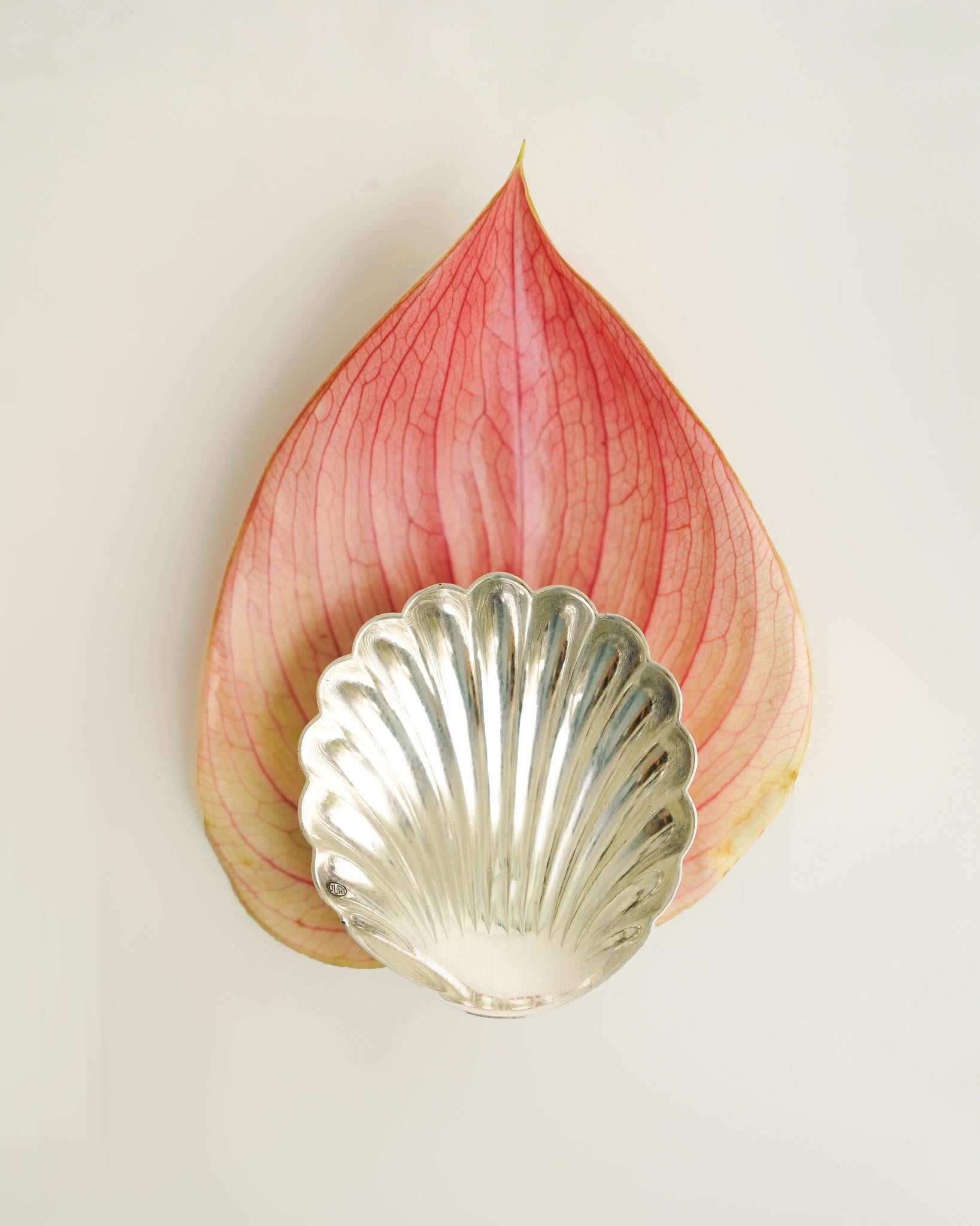 Vintage - Seashell Stainless steel Creamers